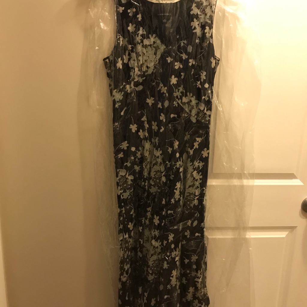 Silk Banana Republic Dress Size 12